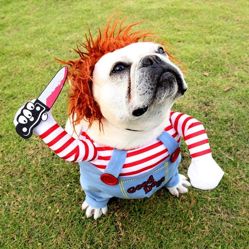 Halloween Pet Costume: The Ultimate Dog Cosplay Ensemble
