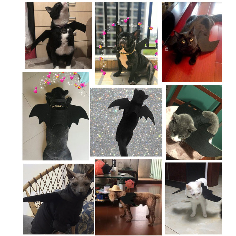 Halloween Pet Costumes Bat Wing with Tinkle bell